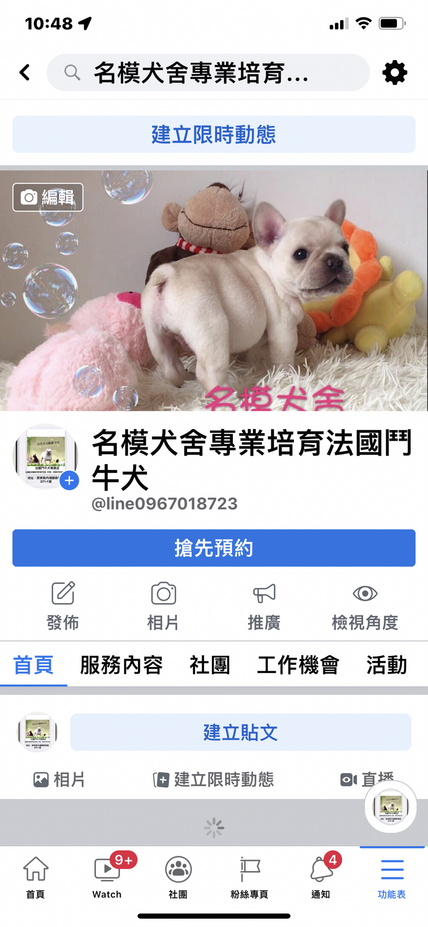 法鬥犬舍名模犬舍logo